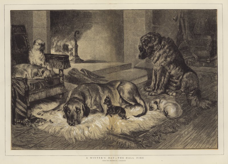 Ein Wintertag, das Hallenfeuer von John Charlton