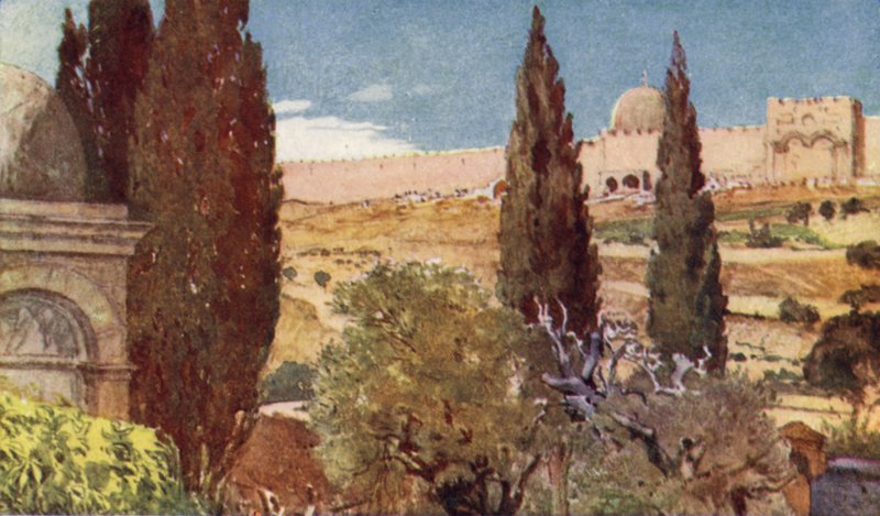 Die Zypressen des Gartens von Gethsemane von John Fulleylove