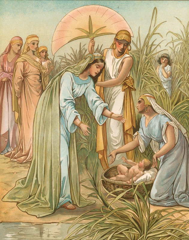 Moses im Schilf von John Lawson