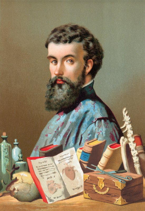 Andreas Vesalius von Jose Armet Portanell