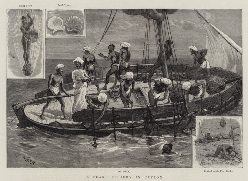 Eine Perlenfischerei in Ceylon von Joseph Nash
