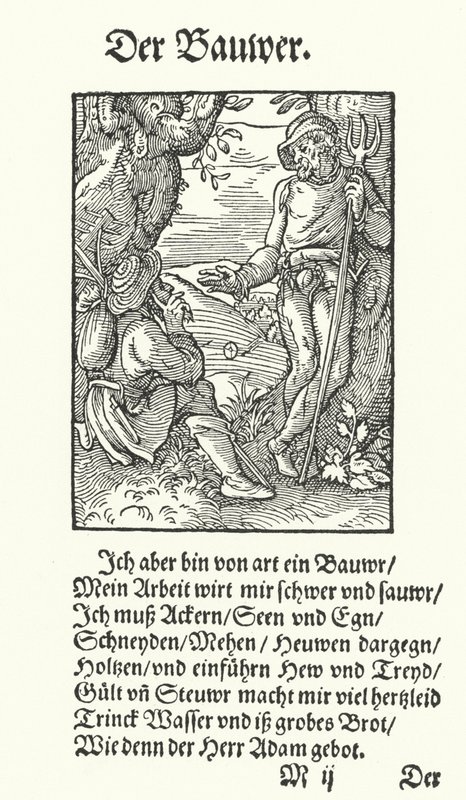 Der Bauer von Jost (after) Amman