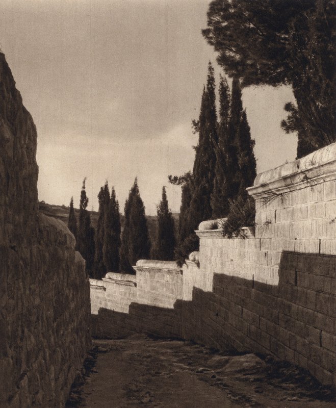 Jerusalem, Garten Gethsemane von Karl Grober