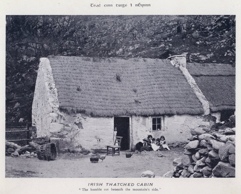 Irische Strohhütte von Karl Karlovich Piratsky