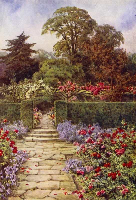 Der Rosenweg von Lilian Stannard