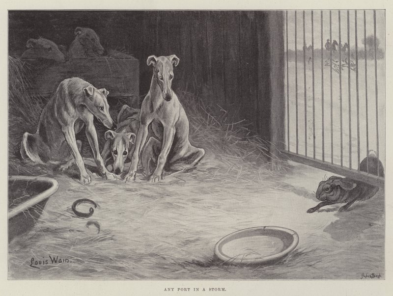 Jeder Hafen in einem Sturm von Louis Wain