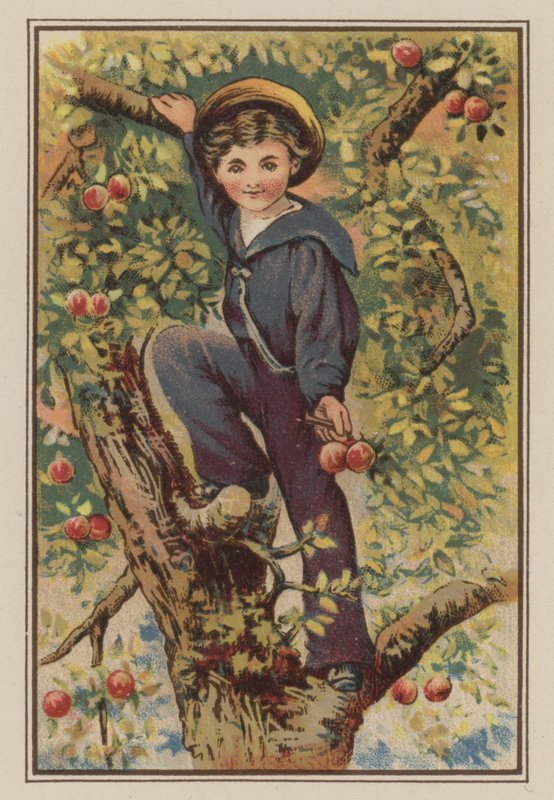 Junge klettert auf Apfelbaum von Mary Ellen Edwards
