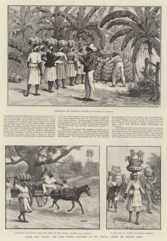 Über zwei Ozeane, die Westindischen Inseln von Melton Prior