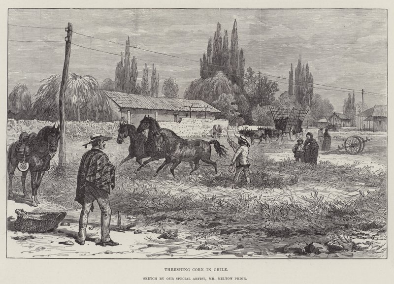 Dreschen von Mais in Chile von Melton Prior