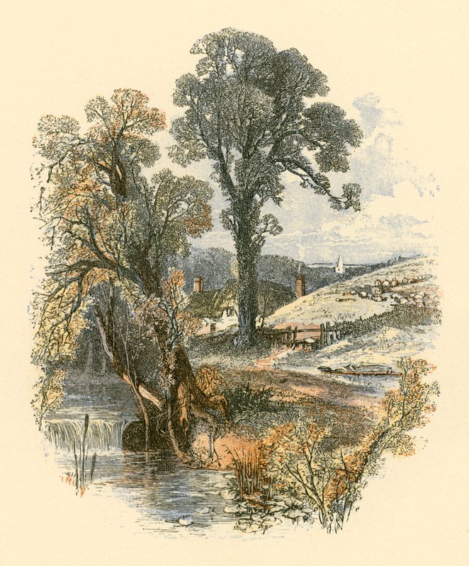 Schönheiten der Natur von Myles Birket Foster