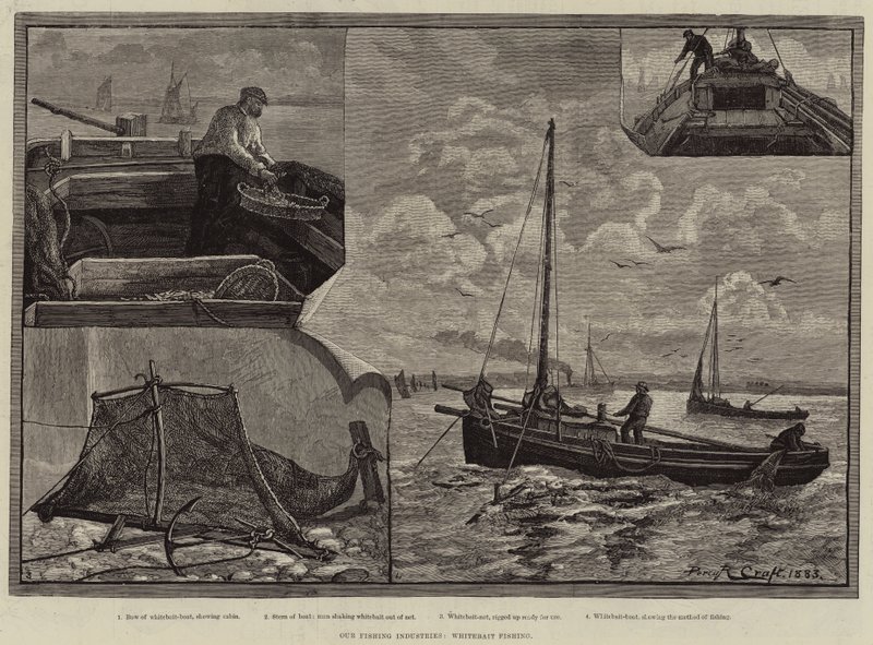 Unsere Fischereiindustrien, Weißfischfang von Percy Robert Craft
