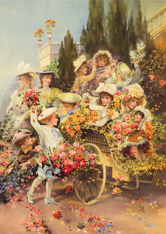 Die Schlacht der Blumen von Polly Clarke