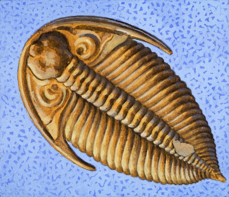 Fossil von R.B. Davis