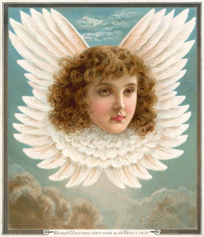 Engelskopf in Flügeln von Rebecca Coleman