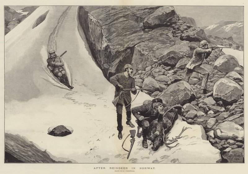 Nach Rentieren in Norwegen von Richard Caton Woodville junior