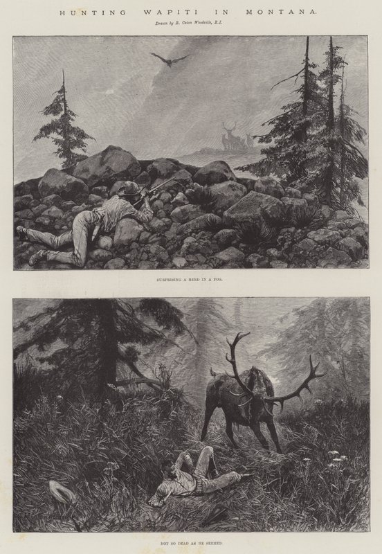 Wapiti-Jagd in Montana von Richard Caton Woodville junior