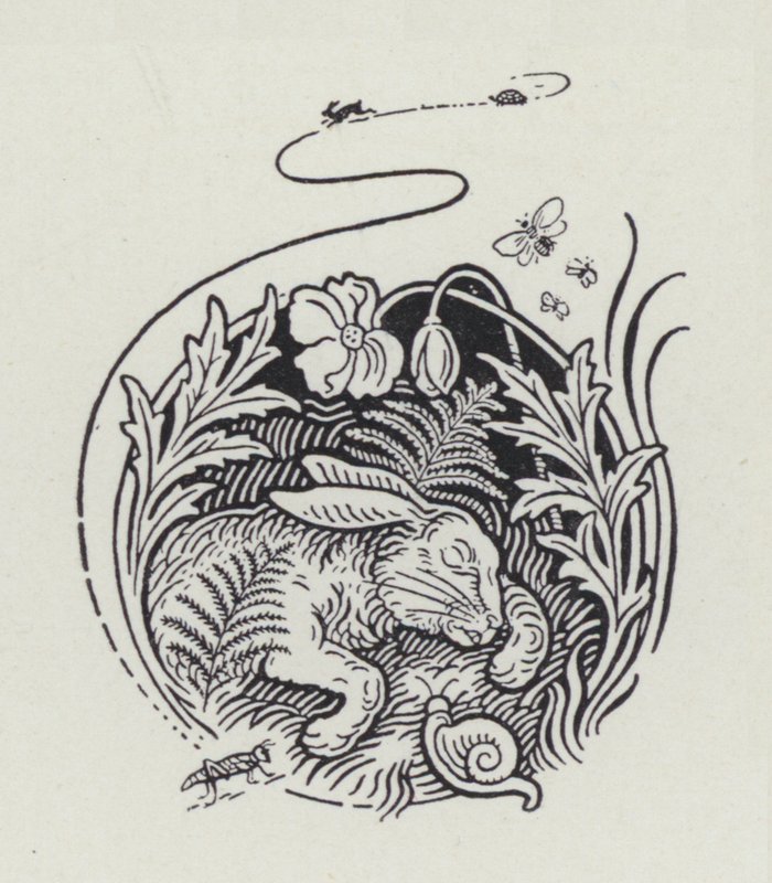 Der Hase und die Schildkröte von Richard Heighway