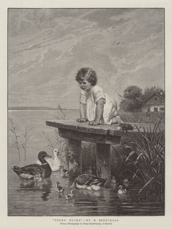 Junge Enten von Robert Julius Beyschlag