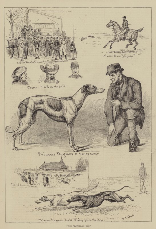 Der Waterloo Cup von S.T. Dadd