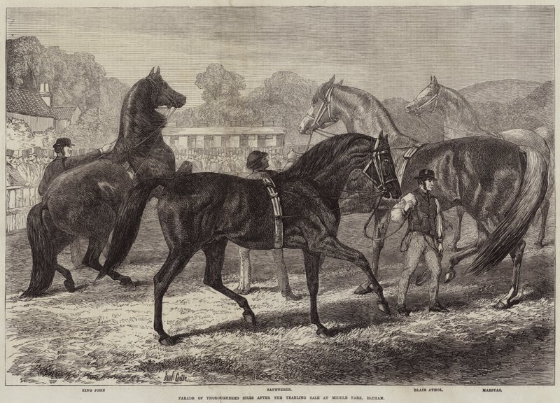Parade der Vollbluthengste nach dem Jährlingsverkauf in Middle Park, Eltham von Samuel John Carter