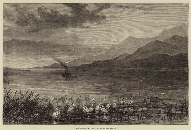 Die Donau, an der Mündung des Pruth von Samuel Read