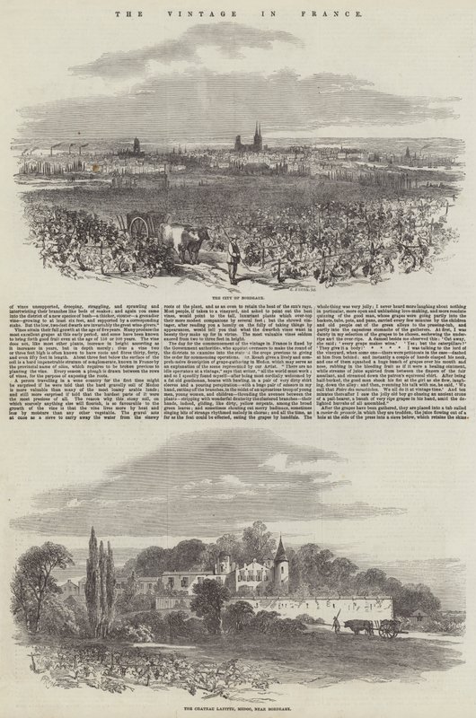 Die Weinlese in Frankreich von Samuel Read