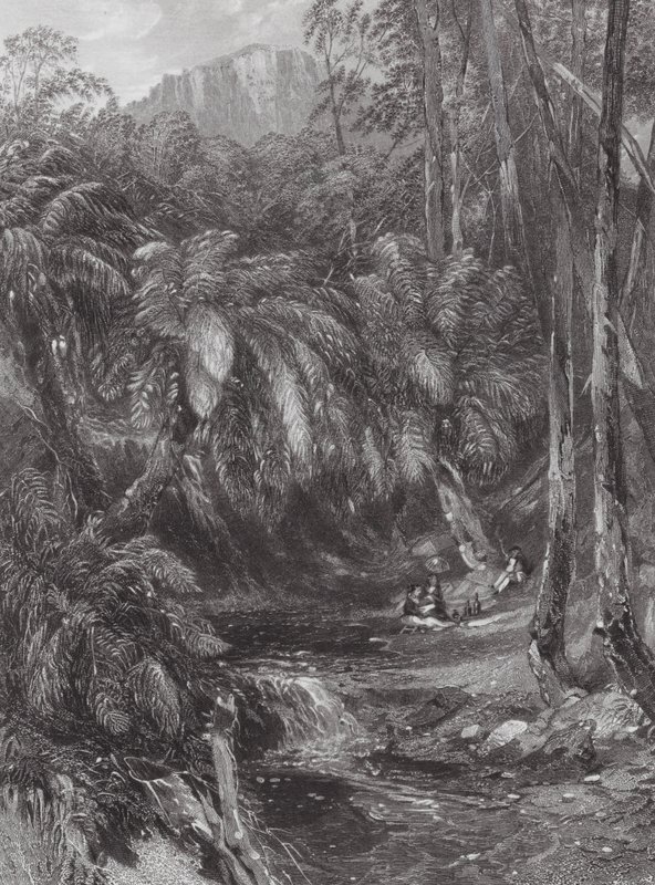 Australien: Ein Farnbaumtal von Samuel (after) Prout