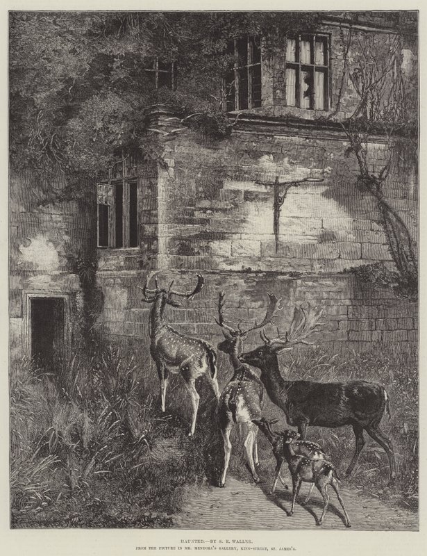 Heimgesucht von Samuel Edmund Waller