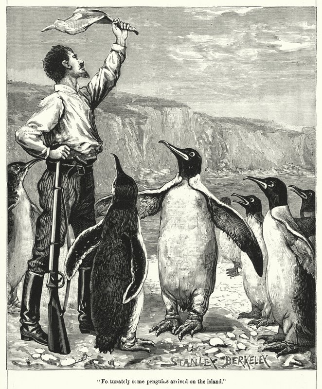 Zum Glück kamen einige Pinguine auf der Insel an von after Stanley Berkeley