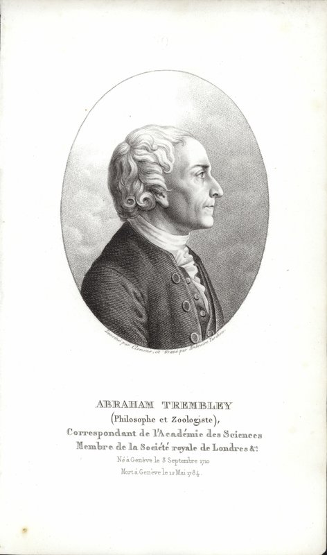 Abraham Trembley von Swiss School