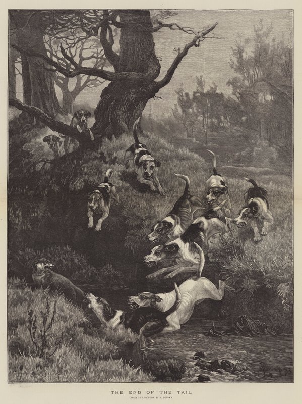 Das Ende des Schwanzes von Thomas Blinks