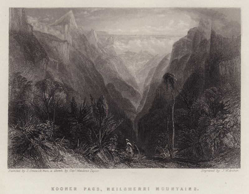 Kooner Pass, Neilgherri Berge von Thomas Creswick