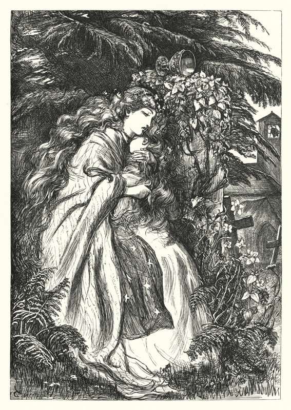 Schloss Clare (Stich) von Thomas Morten