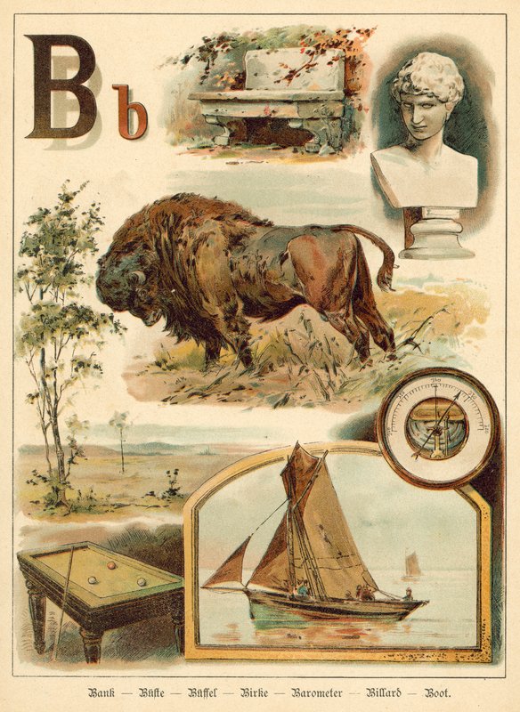 Buchstabe B (Chromolitho) von Walter Zweigle