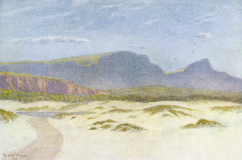 Sanddünen von Wilhelm Westhofen