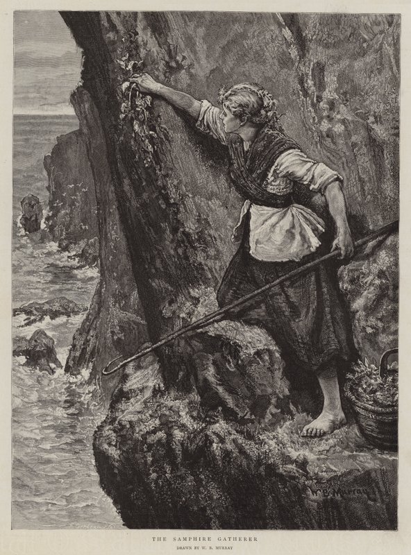 Der Samphire-Sammler von William Bazett Murray