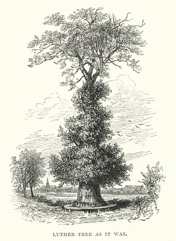 Lutherbaum wie er war von William Henry James after Boot