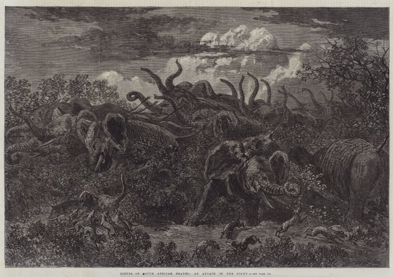 Szenen der südafrikanischen Reise, ein Angriff in der Nacht von William James Linton