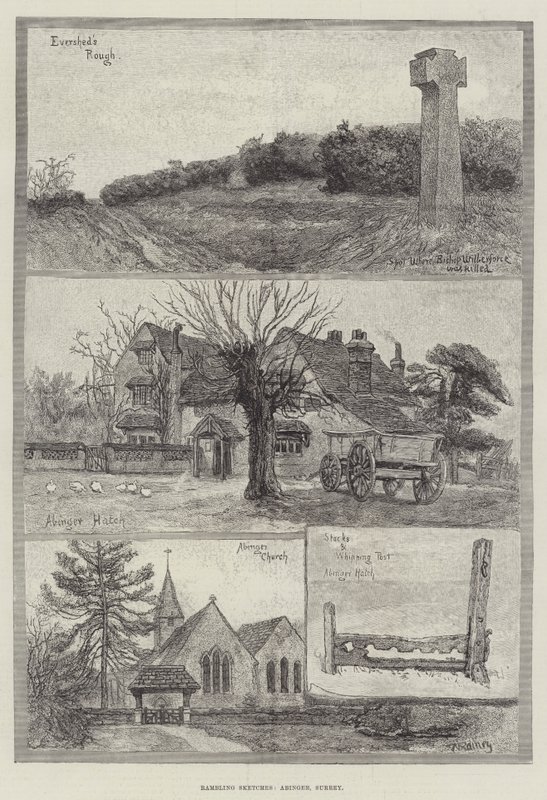 Streifzüge, Abinger, Surrey von William Rainey