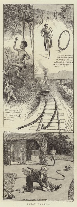 Große Schlangen! von William Ralston