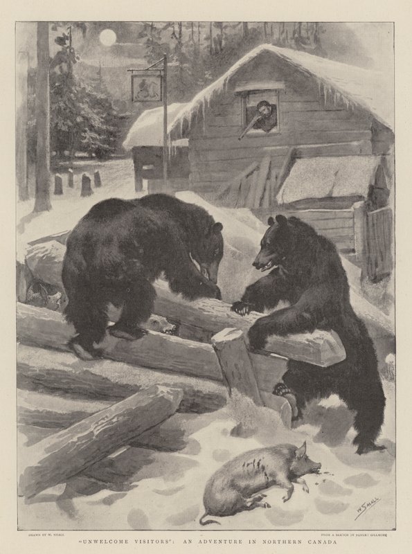 Ungebetene Besucher, ein Abenteuer in Nordkanada von William Small