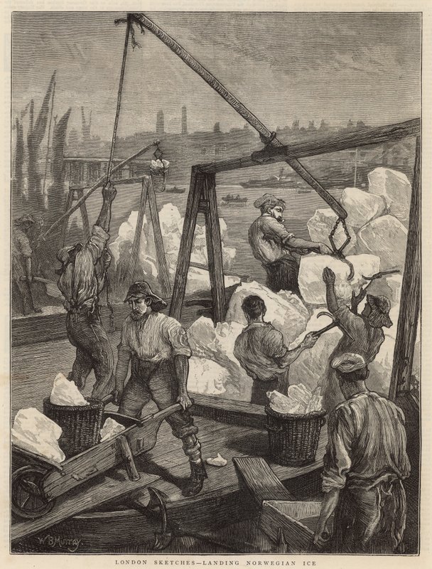 Norwegisches Eis entladen (Stich) von William Bazett Murray