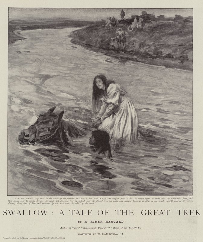 Schwalbe, eine Geschichte des Großen Trecks von William Hatherell