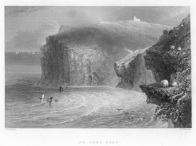 St Bees Head von William Henry Bartlett