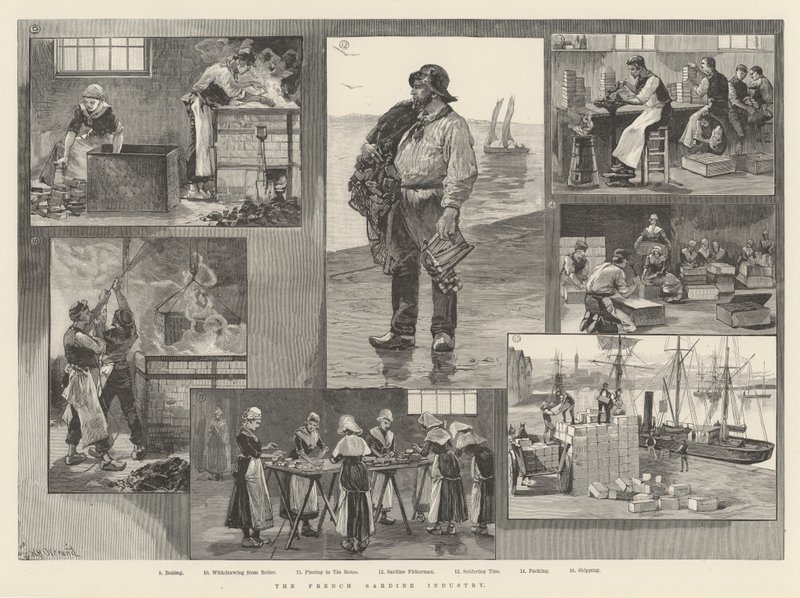 Die französische Sardinenindustrie von William Heysham Overend