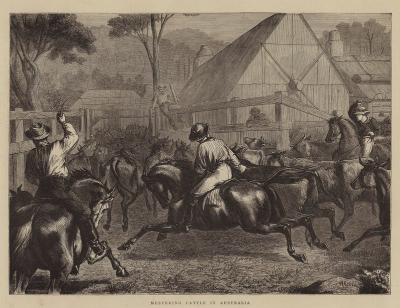 Viehtrieb in Australien von William Ralston