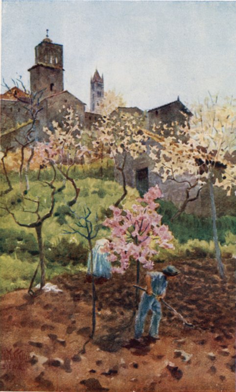 Siena. Unter den Mauern von William Wiehe Collins
